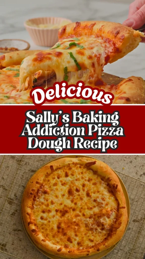 Sallys Baking Addiction Pizza Dough