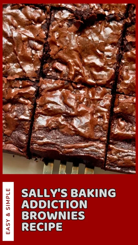 Delicious Sallys Baking Addiction Brownies Recipe