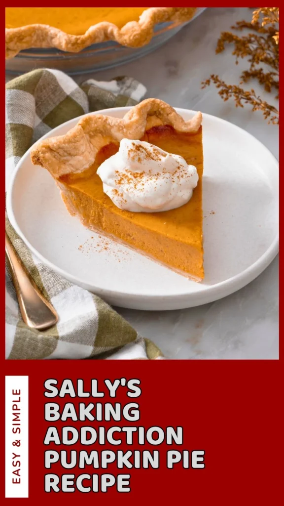 Delicious Sallys Baking Addiction Pumpkin Pie Recipe